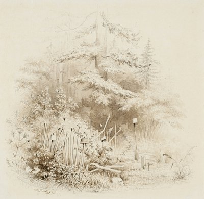 Indiaanse begraafplaats, Oregon, 1841 door Alfred Thomas Agate